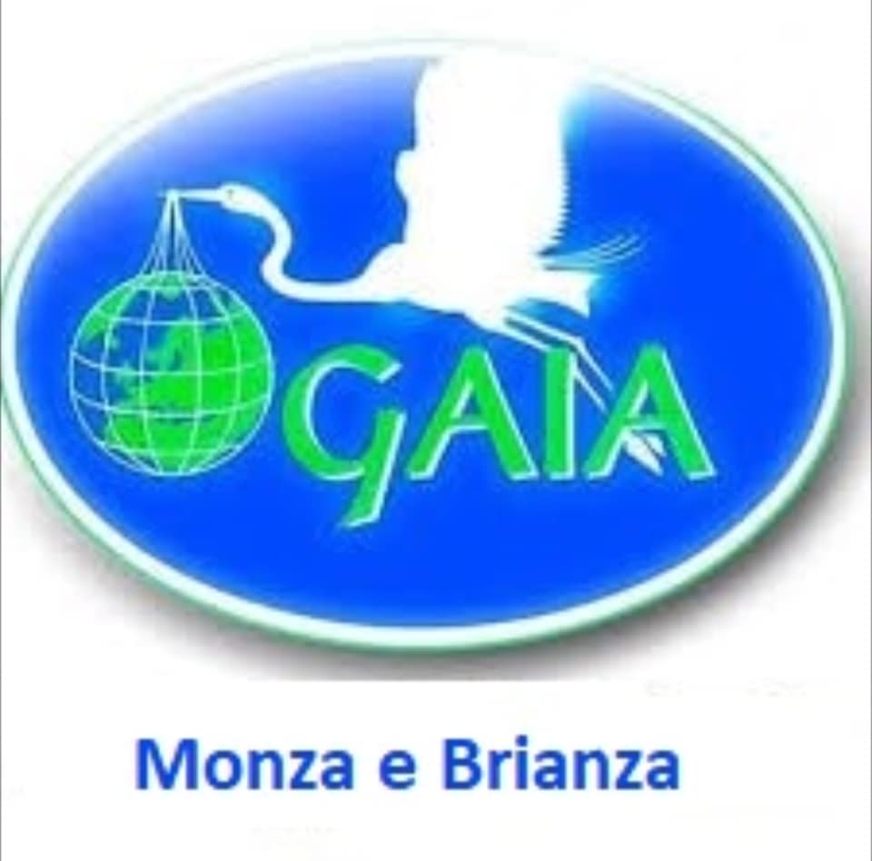 logo gaia monza brianza  59768314_290939838265850_5837416817953341440_n - copia